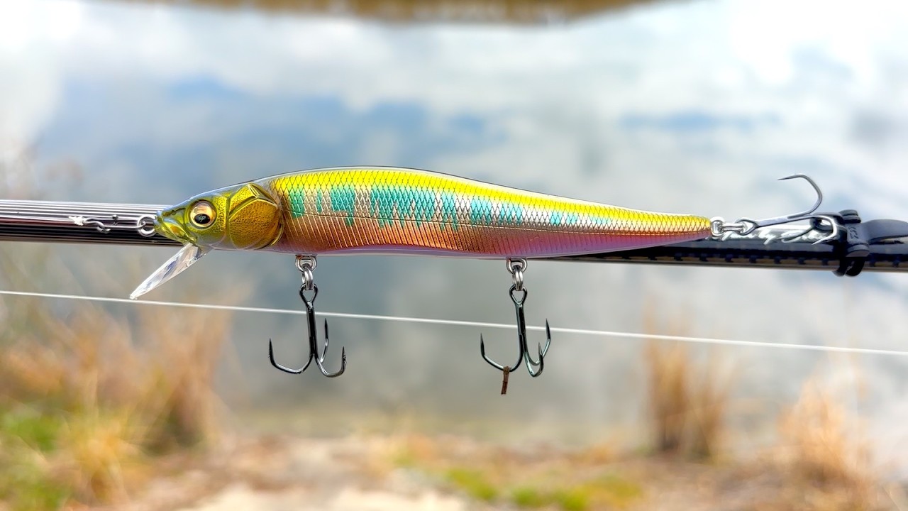 短時間でも釣れる！？早春から最強になるジャークベイトが今熱い！