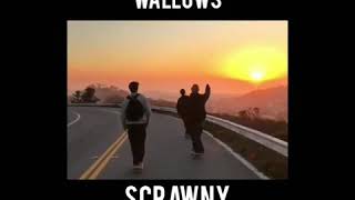 Scrawny - Wallows Slowed Reverb