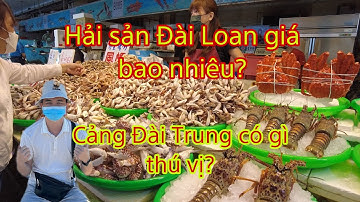 Khám phá cảng cá Đài Trung,Hải sản ở đây liệu có ngon, bổ, rẻ không?.Đài  Loan Vlog#4.||Chom Ơi
