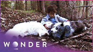 Celebrity This Boy Survived A Night In The Extreme Cold Because Of His Dogs | Pet Heroes S1 EP11 | Wonder Wealth