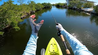 Found a Canal Loaded With Crazy Tarpon - Florida Keys Fishing Experience Day 1