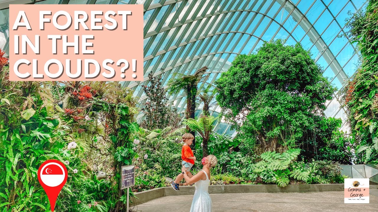Gardens by the Bay and Cloud Forest Tour | Singapore with Kids | Family Travel Vlog