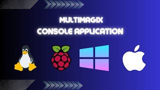 MultiMagix console app demo screenshot 4
