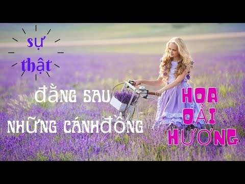 Video: Cách Sử dụng Hoa Oải Hương để Chăm sóc Da: 11 Bước (Có Hình ảnh)