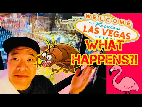Luxor Hotel & Casino (Las Vegas) | TripAdventour
