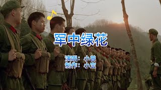 小曾一首《军中绿花》,献给当兵的人,向所有军人致敬!