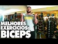 Quais os exercícios que mais ativam bíceps? | Dicas do Laércio