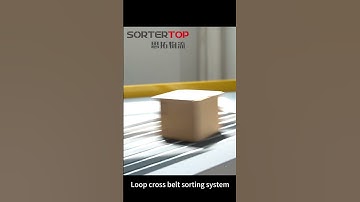 Loop cross belt sorting system