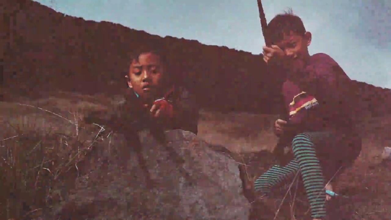 Exploring Java - Gunung Gede Pangrango National Park (TNGGP) 