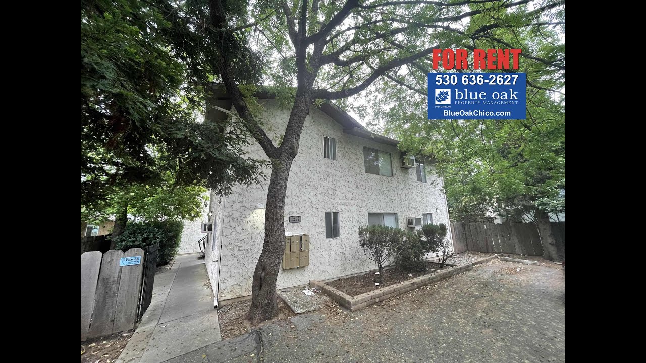 Apartment for Rent in Chico Studio 1252 Warner St 3 YouTube