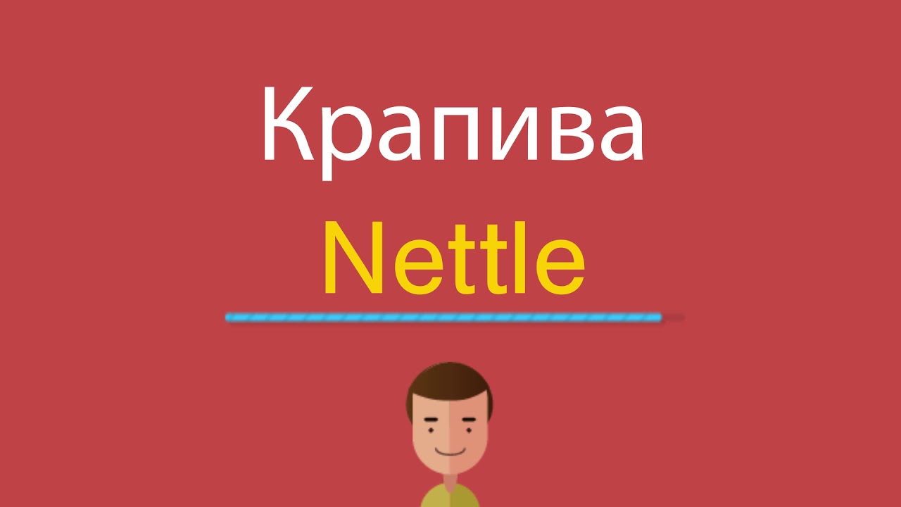 Калина перевод на английский