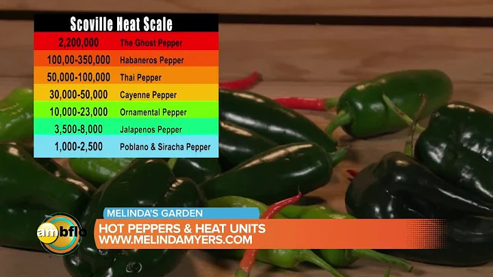 Melindas Garden Moment - Hot peppers and Scoville heat units