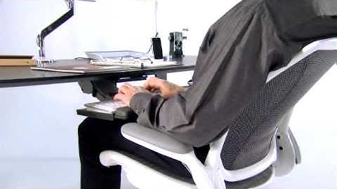 The Humanscale Ergonomic Workstation