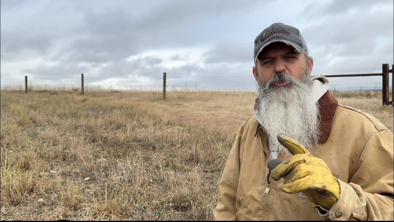 Coyote trapping back to basics. “The basic dirt hole set explained”