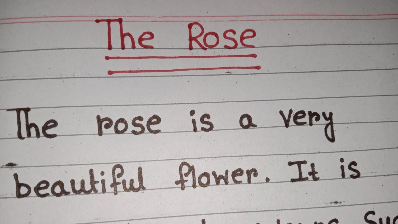The Rise //Essay on The Rose //Few lines on Rose //English handwriting