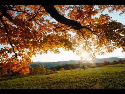 木漏れ日(オリジナル曲、ＤＴＭ)