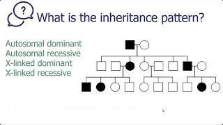 Pedigree Inheritance Pattern - Sample 1