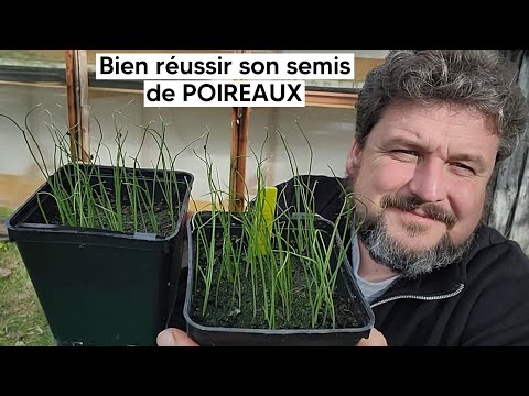 Vidéo: Planter des poireaux pour les semis. Poireau : poussant sur le site