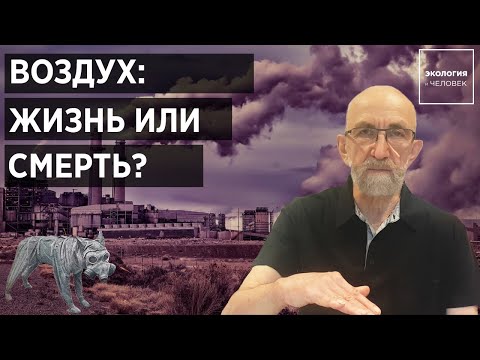 Загрязнение воздуха - недооцененная опасность? Экология и Человек