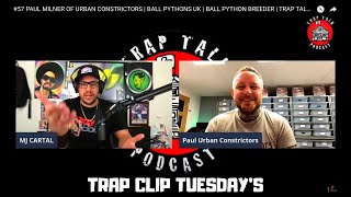 HOW PAUL KEEPS MITES OUT HIS COLLECTION FOR GOOD | URBAN CONSTRICTORS | BALL PYTHONS UK | TRAP CLIP