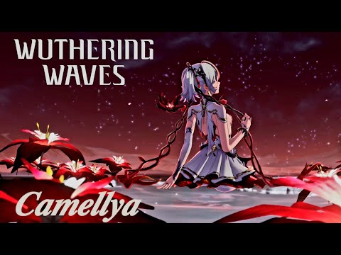 Camellya Pull +