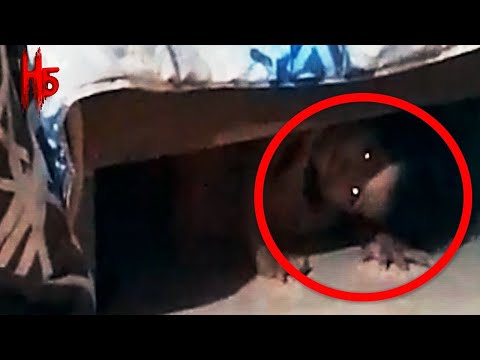 5 SCARY GHOST