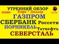 ММВБ,доллар,евро,Сбербанк,Газпром,Северсталь,ГМК Норильский никель,Россети,Татнефть. Трейдинг.Обвал