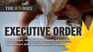 Once illegal, now hopeful: Nevada advocates eye Trump’s shift on psychedelic therapies