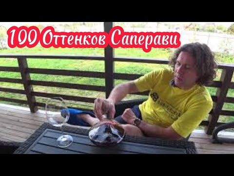 Фанагория 100 оттенков красного Саперави. Вина Фанагории. Лучшее вино России до 1500 рублей.