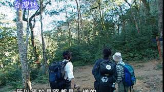 【MIT台灣誌 #188】山毛櫸金色山道  北插天山深秋行