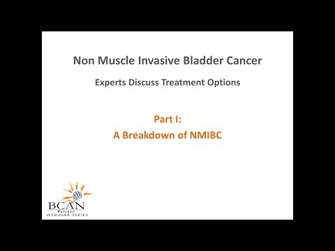 Non Muscle Invasive Bladder Cancer | Experts Discuss: A Breakdown of NMIBC