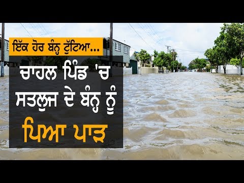 Punjab Floods | ਲੋਹੀਆਂ ਦੇ ਕਈ ਪਿੰਡ ਪਾਣੀ ਵਿੱਚ ਡੁੱਬੇ | TV Punjab