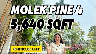 【JB Property】Molek Pine 4 Penthouse, Huge Build up 5,640 sqft with an astonishing view