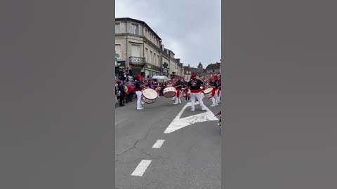 os peixinhos a st Amand Montrond "D 18"