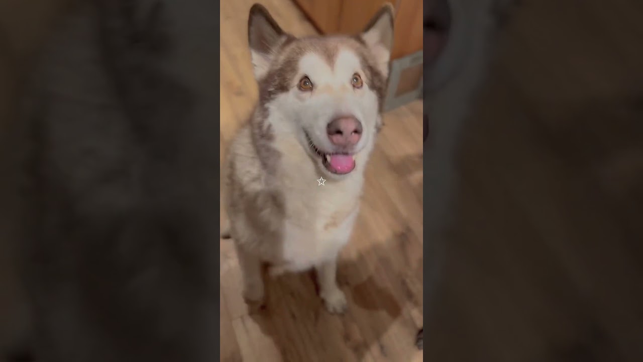 Life Running a Small Business 