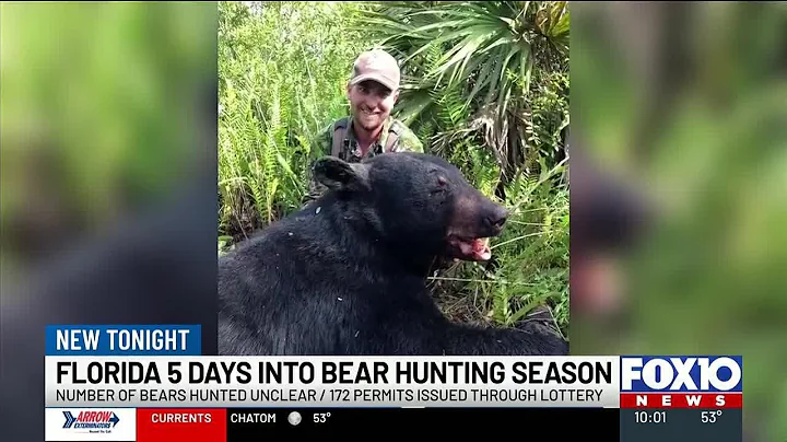 Florida black bear hunt enters day five with kill count undisclosed