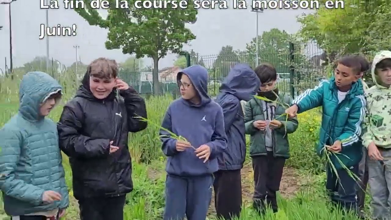 LES ENFANTS CÉRÉALISENT.  "Blé d'hiver, blé de printemps" :  Quel Bilan au 5 mai ?