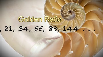 Fibonacci Numbers | That