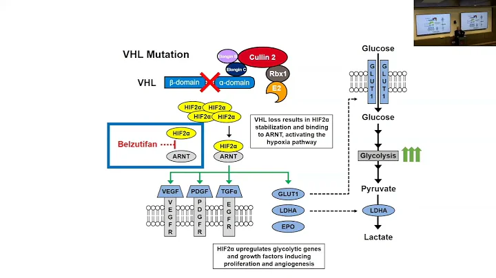 Systemic Therapy for Von Hippel-Lindau Associated ...