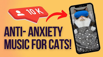 HOW TO CALM DOWN A ANGRY CAT? CALMING MUSIC FOR CATS WITH ANXIETY.