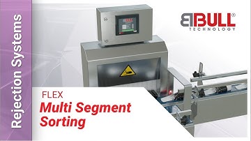BBULL FLEX | Automated rejection system for various container shapes
