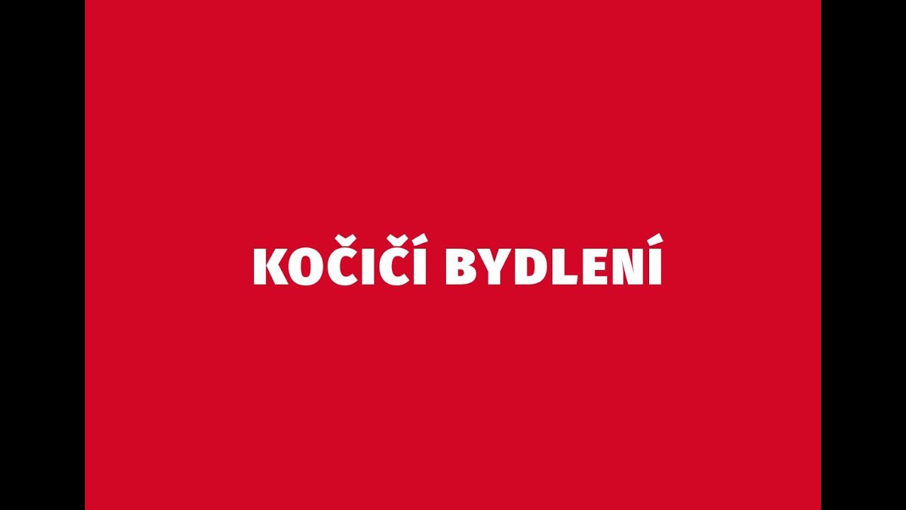 Tlapka TV - Kočičí seriál - První díl