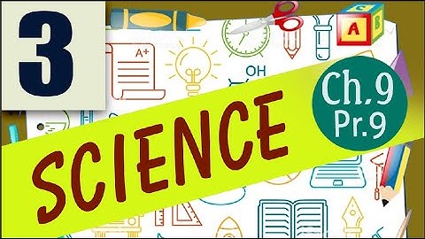 class 3 science ch 9 The human body part 9 10 11 2020