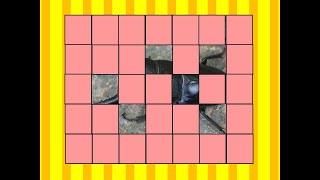 곤충 맞히기/곤충 활동/곤충 퀴즈/Insects Guessing Game screenshot 3