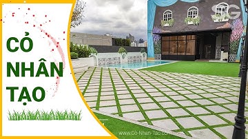 Thảm cỏ nhân tạo trải sân vườn cực đẹp | Cỏ Nhân Tạo SG