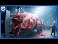 Futuristic Food Technologies Automatic Machines And Manufacturing Processes