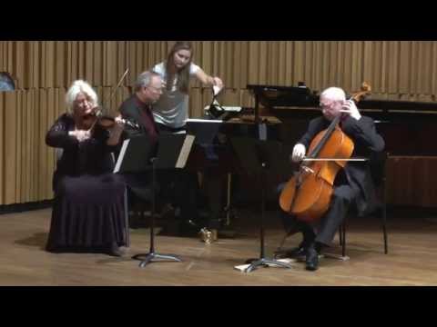 Joseph Haydn: Trio in G major Hob. XV/25, 3rd mov.- Rondo all'Ongarese (Gypsy Rondo)