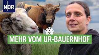 Nichts bleibt wie es ist - ...auf dem Ur-Bauernhof | die nordstory | NDR