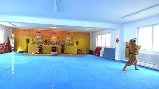 Shaolin Kung Fu - Xiao Hong Quan - Jing Yao