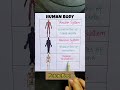 Human body#gk#ai#gkfacts#aiart #speakconfidentenglish#education #english@futurefoci
